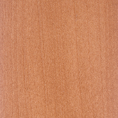 الكستناء 208